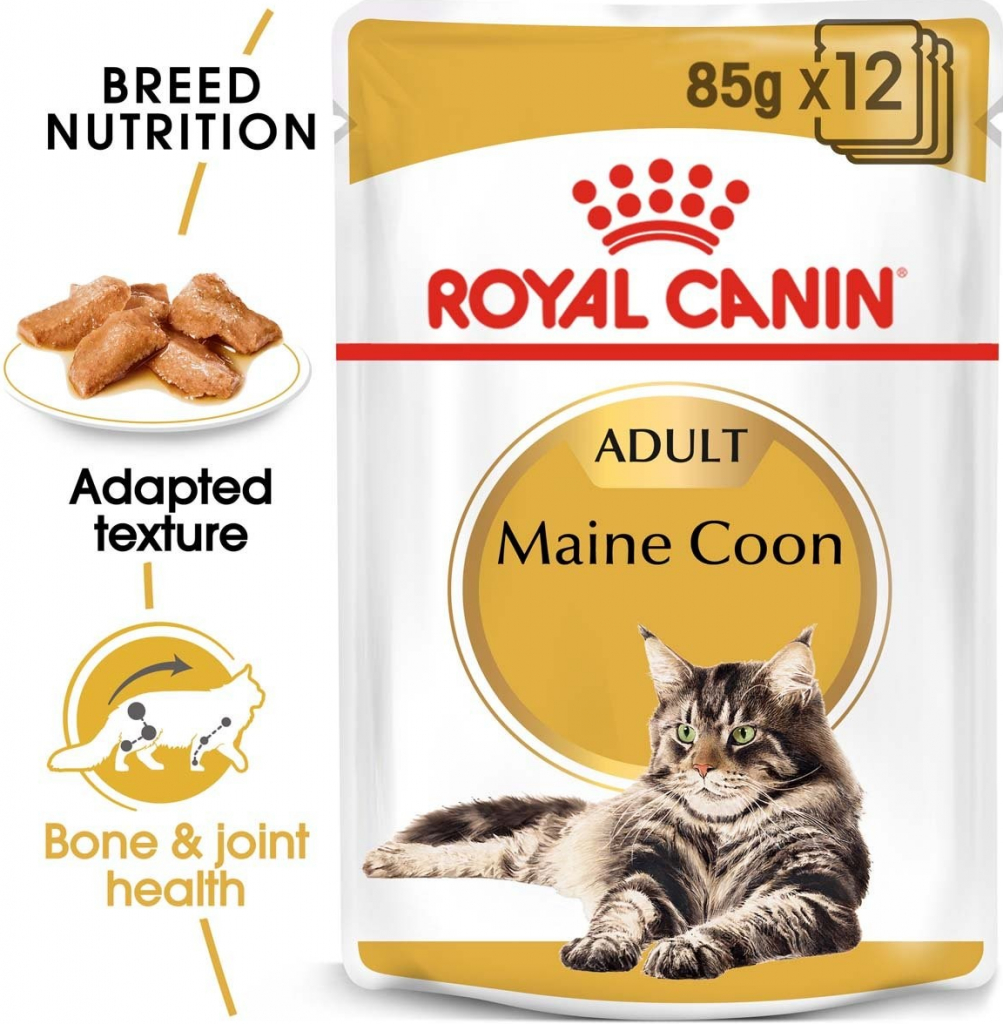 Royal Canin Maine Coon Adult granule pro kočky 48 x 85 g
