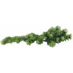 Lucky Reptile Horn Fern 40 cm – Zboží Mobilmania