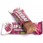 Lifefood Lifebar Protein raw Bio 47 g – Zbozi.Blesk.cz