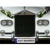 Svatební autodekorace Svatební SPZ - Just married