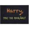 Rohožka Mercury Flooring Harry Černá 40x60 cm