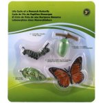 Teddies Vývoj motýla babočky plast 4 ks na kartě 19,5 x 22,5 x 2,5 cm – Hledejceny.cz