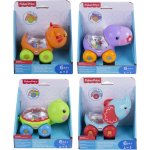 Fisher-Price Jezdící sloník s kuličkami 6194 – Hledejceny.cz