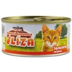 Sokol Falco LÍZA losos 120 g – Hledejceny.cz