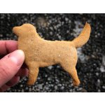 TVOŘÍTKO Nova Scotia Duck Tolling Retriever - obrysové vykrajovátko – Hledejceny.cz