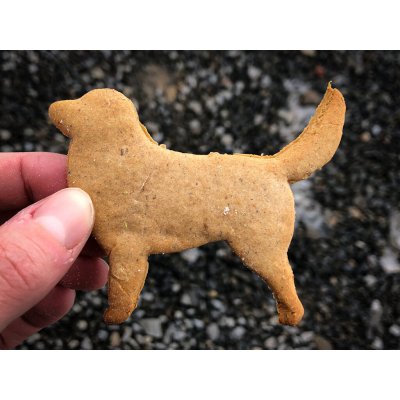 TVOŘÍTKO Nova Scotia Duck Tolling Retriever - obrysové vykrajovátko – Hledejceny.cz