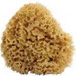 Naturaprodukt mořská houba natural 14 15,3 cm – Zboží Mobilmania