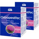 GS Ostropestřec 6500 mg 2 x 60 tablet – Hledejceny.cz