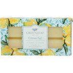 Greenleaf Vonný vosk Citron Sol 73 g – Zbozi.Blesk.cz