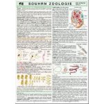 SOUHRN ZOOLOGIE PRO SŠ – Hledejceny.cz