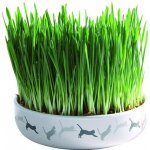 Trixie keramická miska na trávu pro kočky 15 x 4 cm – Zboží Dáma