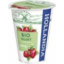 Hollandia BIO selský jogurt jahody 180 g