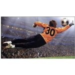 LG 49VL5G – Zbozi.Blesk.cz