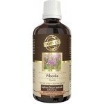 Topvet Echinacea tinktura kapky 50 ml – Zboží Mobilmania