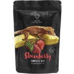 Gecko Nutrition banán, jahoda 50 g – Zboží Dáma Gecko Nutrition banán, jahoda 50 g – Zboží Dáma