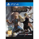 Pillars of Eternity 2: Deadfire (Ultimate Edition) – Hledejceny.cz