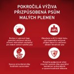 Purina ONE Mini Weight Control Sterilised krůtí s rýží 0,8 kg – Hledejceny.cz