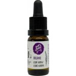 Ecopets LESNÍ KAPKA sérum proti blechám a klíšťatům 10 ml – Sleviste.cz