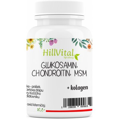 HillVital Glukosamin MSM Chondroitin na klouby revma artróza 60 ks – Zboží Mobilmania