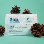 Integra Boost Terpene Essentials Pinen 67g, 62%, 1 ks – Zboží Dáma