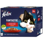 Felix Fantastic masový výběr v želé 24 x 85 g – Hledejceny.cz