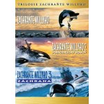 Zachraňte Willyho 1-3 DVD – Hledejceny.cz