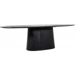 Eleonora Černý dřevěný jídelní stůl Aron 250 x 110 cm – Zboží Dáma