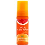 Somerset Toiletry Tropical Fruits Grapefruit & Pomeranč mycí pěna na tělo 140 ml – Zboží Dáma
