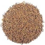 ZdravýDen BIO Směs semen na klíčení 2 brokolice ředkev červená jetel 200 g – Zboží Mobilmania