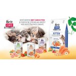 Brit Care Cat Grain-Free Kitten Gentle Digestion & Strong Immunity 0,4 kg – Zboží Dáma