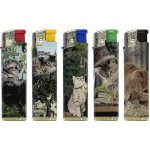 SPARX P1850 Kittens – Hledejceny.cz