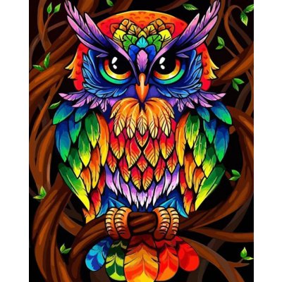 Gaira Diamantové malování Výr D1241 – Sleviste.cz