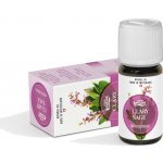 Natural Oil 100% éterický olej Šalvěj muškátová 10 ml – Hledejceny.cz