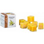 Rentex vonný vosk palmový do aroma lampy kostky Vanilka 8 ks 30 g – Zboží Dáma
