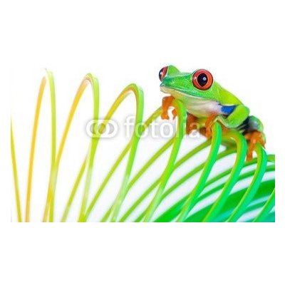 WEBLUX 38488901 Samolepka fólie Colorful Frog on a spring Barevné žába na jaře cívka hračku rozměry 200 x 144 cm – Zbozi.Blesk.cz
