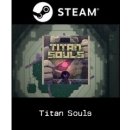 Hra na PC Titan Souls