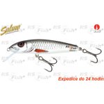 SALMO Minnow sinking 7 cm Dace – Sleviste.cz