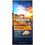 Ontario Adult Medium Fish & Brown Rice 12 kg – Zboží Dáma