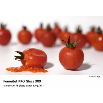 FOMEI FomeiJet PRO Gloss, 10x15, 50 listů, 300 g/m2