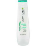 Matrix Biolage ScalpSync Anti Dandruff Shampoo 250 ml – Zbozi.Blesk.cz