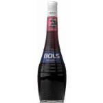 Bols Creme de Cassis 17% 0,7 l (holá láhev) – Hledejceny.cz