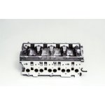 Hlava válce AMC 908718 | Zboží Auto