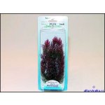 Tetra rostlina Red Foxtail Plus 23 cm – Hledejceny.cz