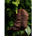 Big Black Mama – Zboží Dáma