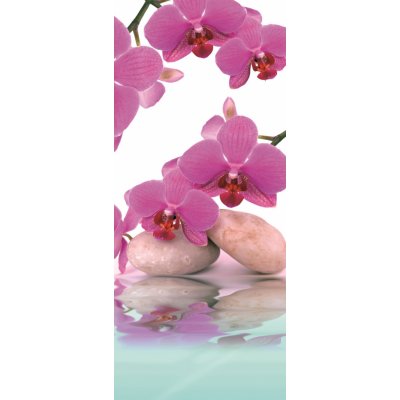 ForWall Fototapety na dveře Orchids 2 samolepící rozměry 91 x 211 cm – Zboží Mobilmania