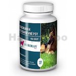 Univit Roboran H pro barevné psy 100 tbl – Zboží Dáma