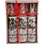 Kitl Syrob Černý rybíz a Malina a Višeň 3 x 0,5 l – Hledejceny.cz