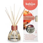 Bolsius Aromatic 2.0 Diffuser Apple Cinnamon vonná stébla 45 ml – Zboží Dáma