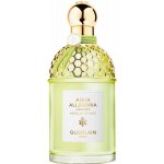 Guerlain Aqua Allegoria Nerolia Vetiver toaletní voda unisex 125 ml – Hledejceny.cz