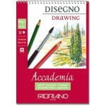 Náčrtník Fabriano Accademia Drawing A4 200g 30 listů na spirále – Hledejceny.cz